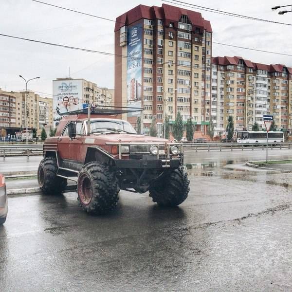 Прикольные картинки