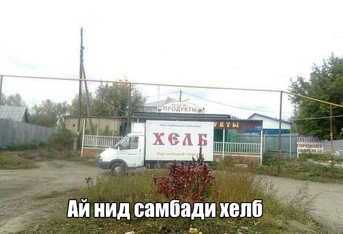 Прикольные картинки