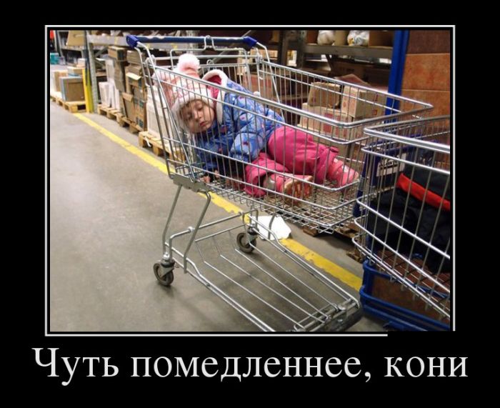 Демотиваторы