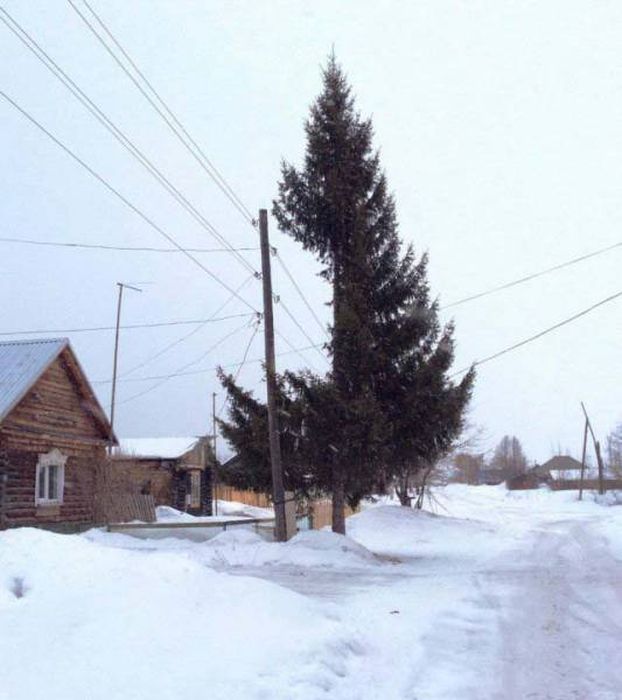 Фото, которые возможно было сделать только в России