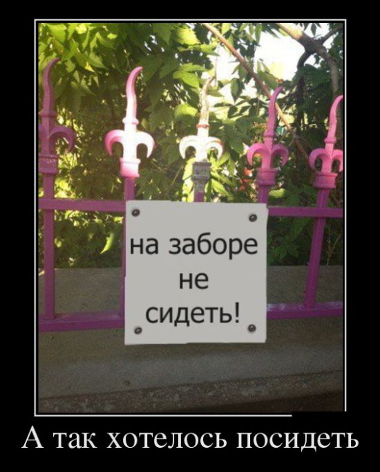Демотиваторы