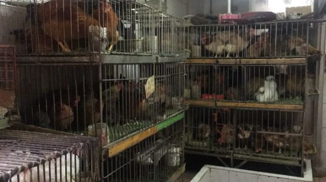Слава безумию или как привлечь клиентов