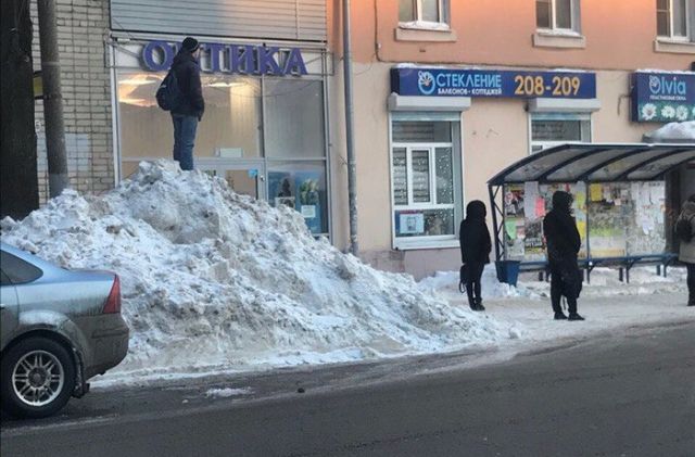 Прикольные картинки