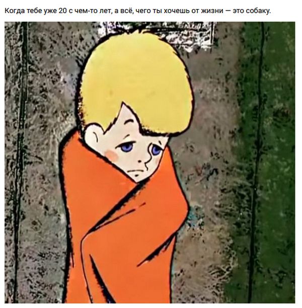 Прикольные картинки