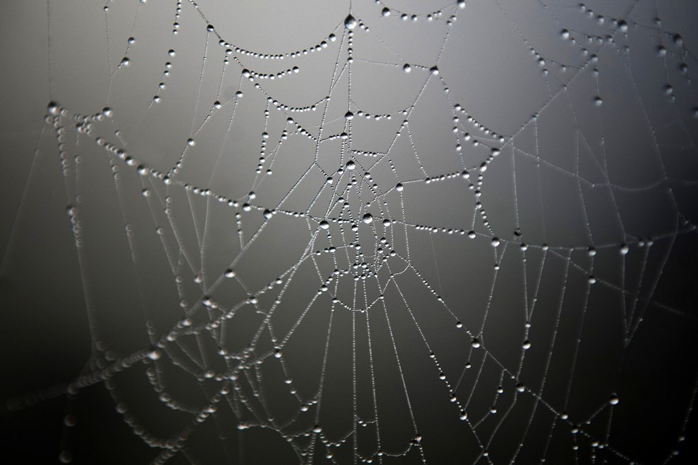 Всемирный День воды 2013