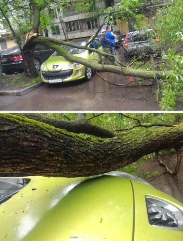 Настоящие везунчики