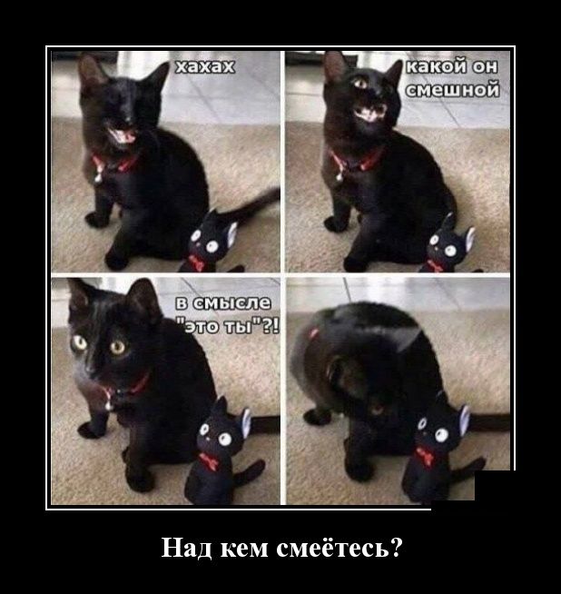 Демотиваторы