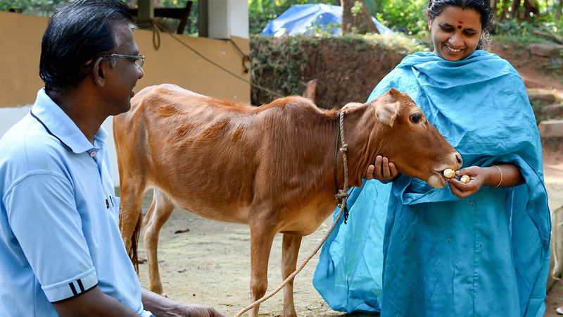 Крошки из мира животных Крошки из мира животных