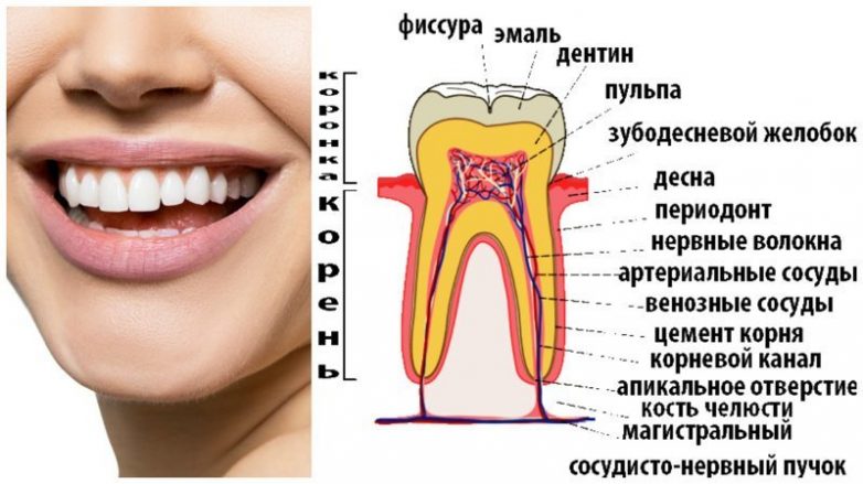 10 удивительных примеров как выглядят привычные вещи под микроскопом