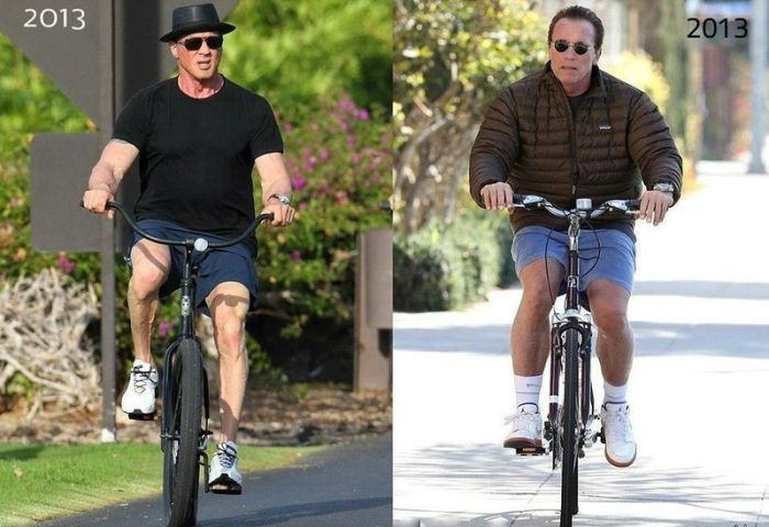 Прикольные картинки