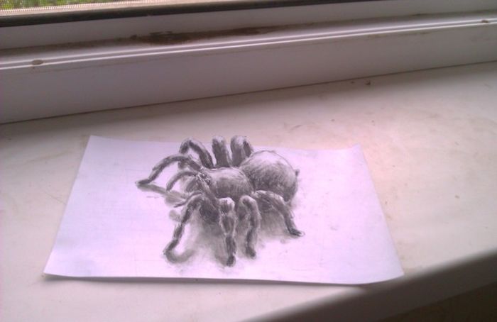 Прикольные картинки