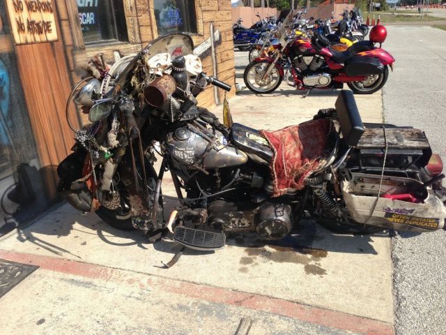 Прикольные картинки