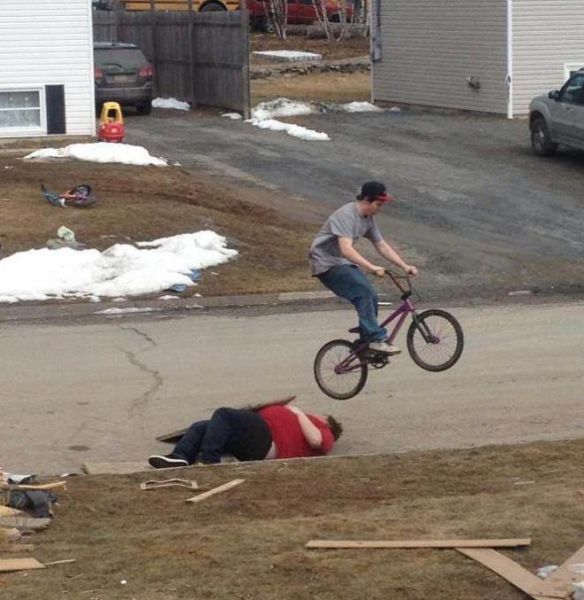 Прикольные картинки