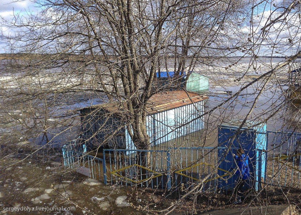 Наводнение в Дубне