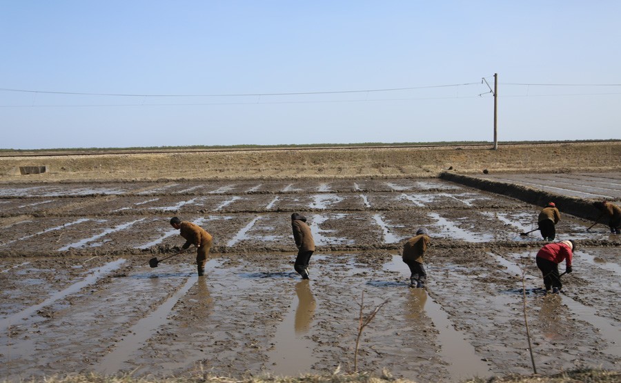 Северная Корея накануне войны