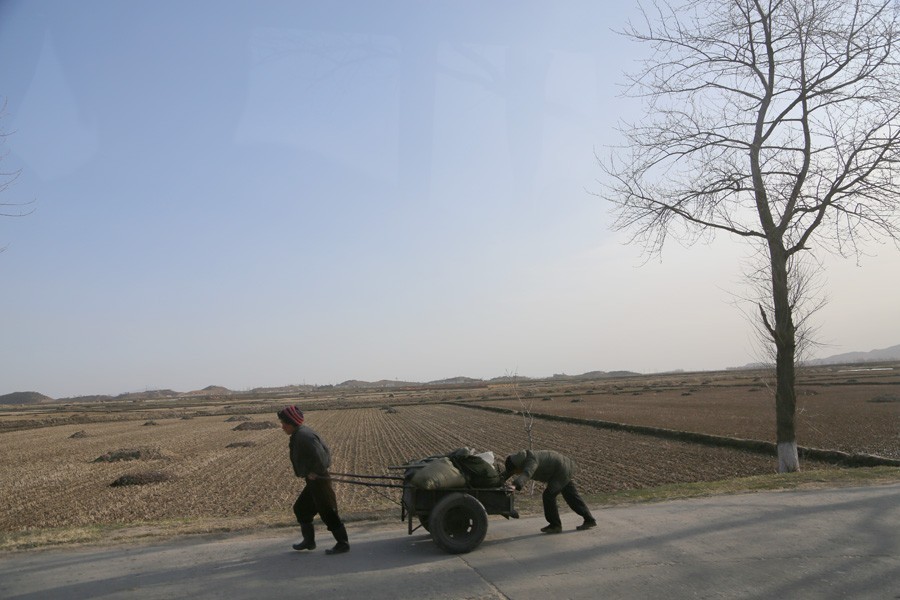 Северная Корея накануне войны