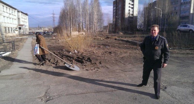Прикольные картинки  (89 фото)