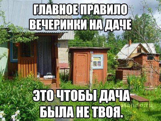 Прикольные картинки  (89 фото)