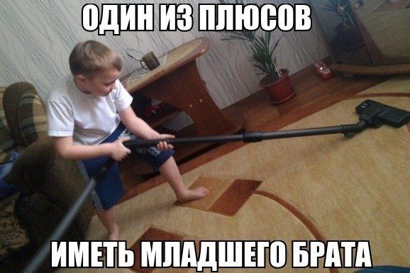 Прикольные картинки  (89 фото)