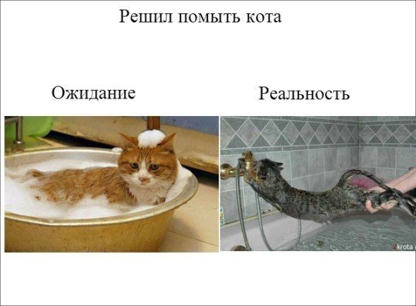 Прикольные картинки  (89 фото)