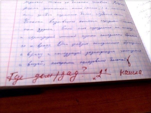 Прикольные картинки  (89 фото)