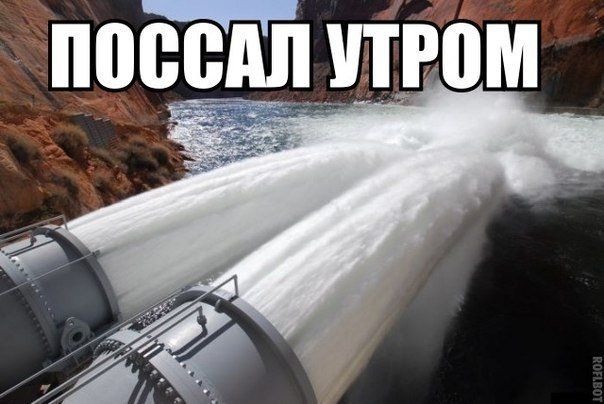 Прикольные картинки  (89 фото)
