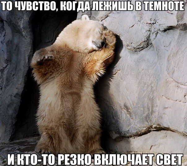Прикольные картинки  (89 фото)