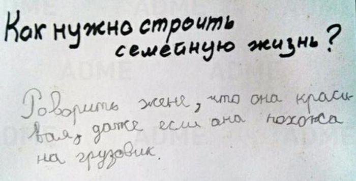 Порция картинок