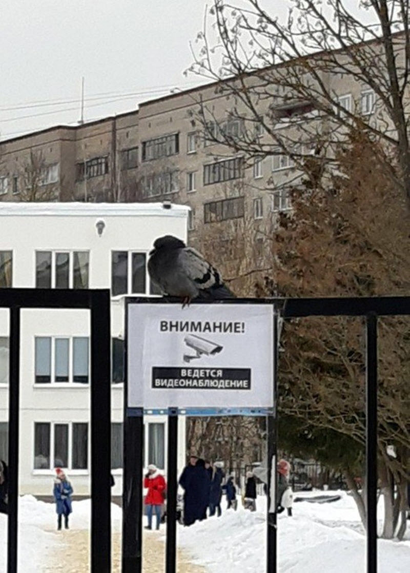 Удивительные снимки с российских просторов