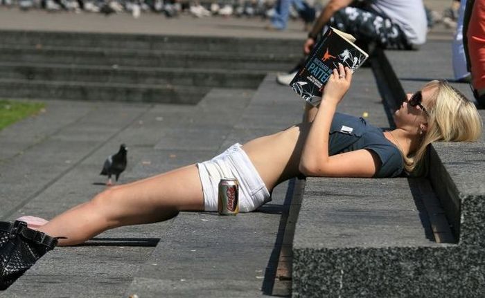 Прикольные картинки
