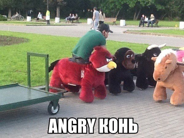 Прикольные картинки (72 фото)