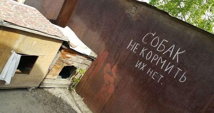Прикольные вывески и объявления