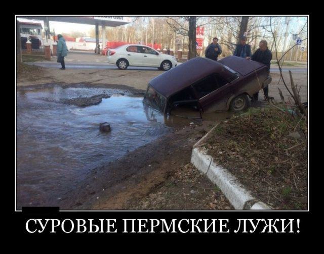 Демотиваторы
