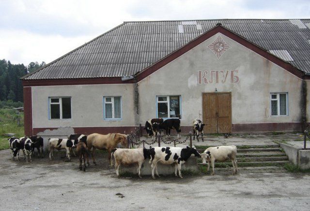 Маразмы нашей деревни