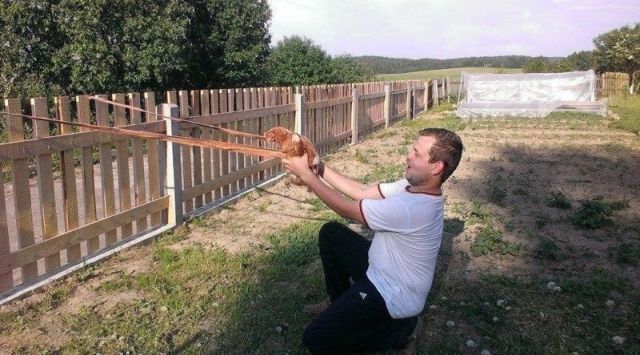 Маразмы нашей деревни