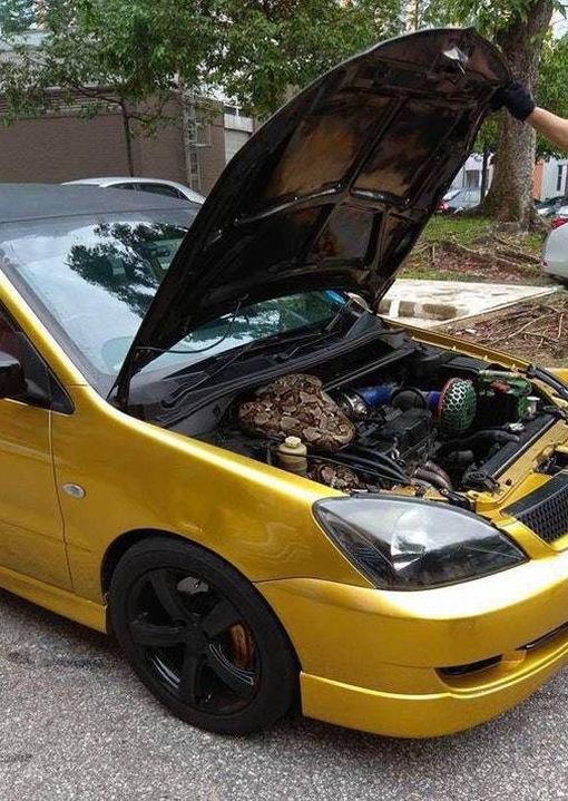 Неожиданная находка в авто