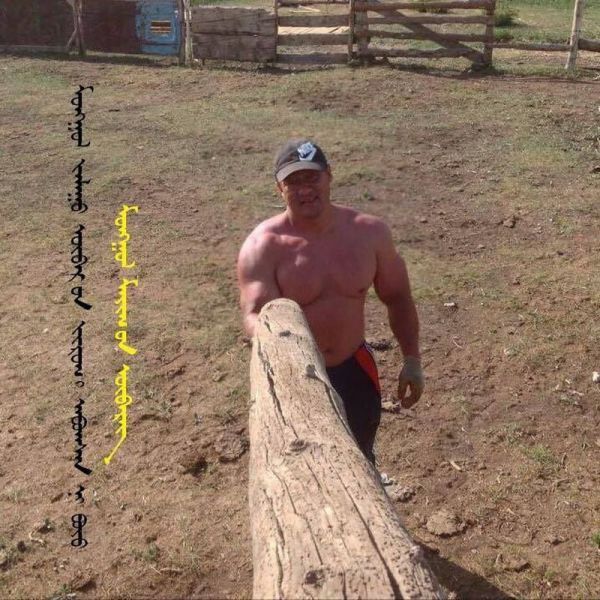 Порция картинок