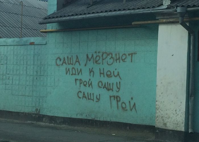 Порция картинок