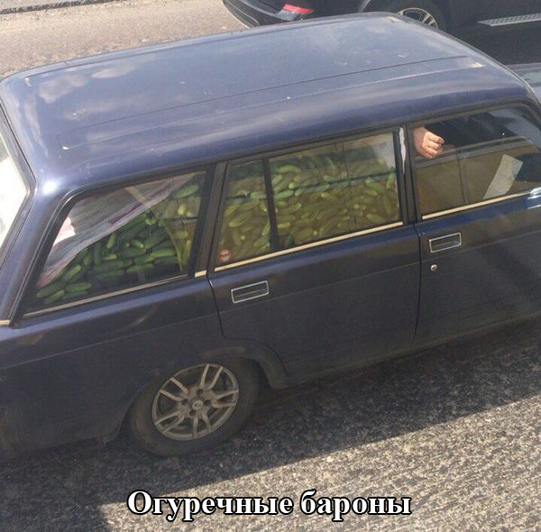 Порция картинок