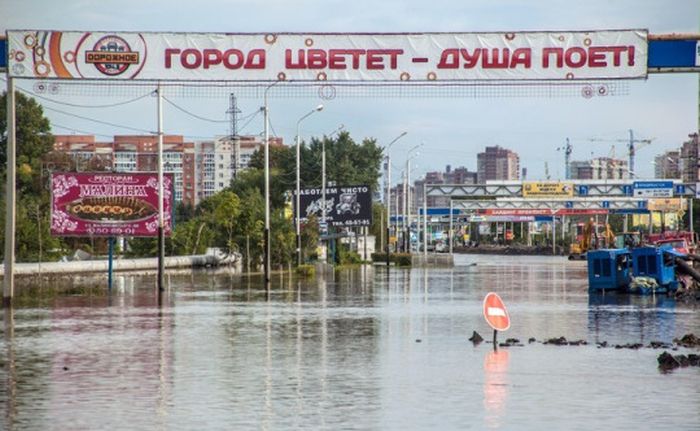 Порция картинок