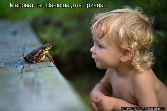 Лучшие котоматрицы недели
