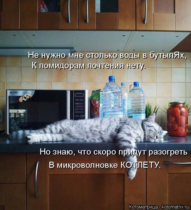 Лучшие котоматрицы недели