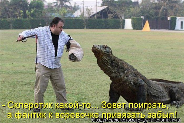 Лучшие котоматрицы недели