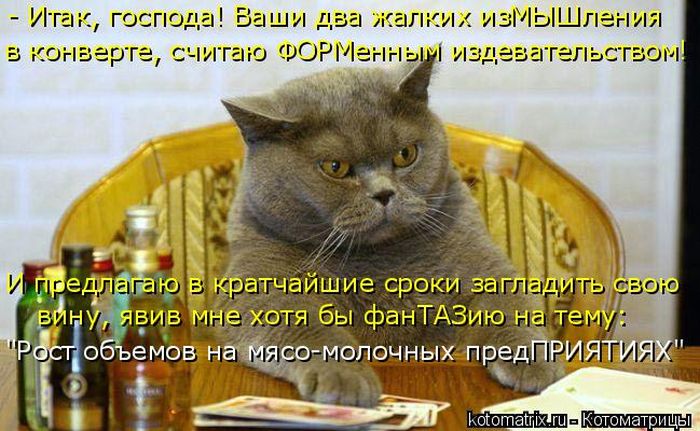 Лучшие котоматрицы недели