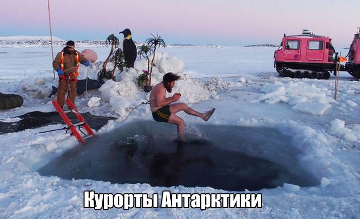 Прикольные картинки
