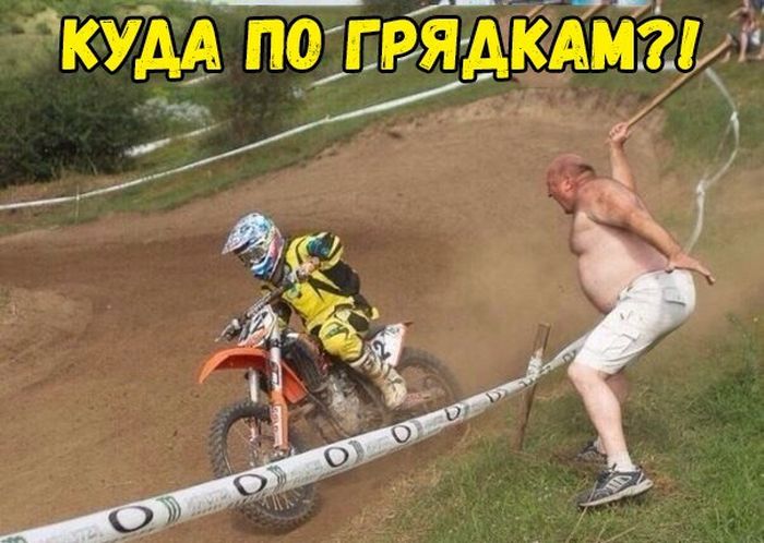 Прикольные картинки