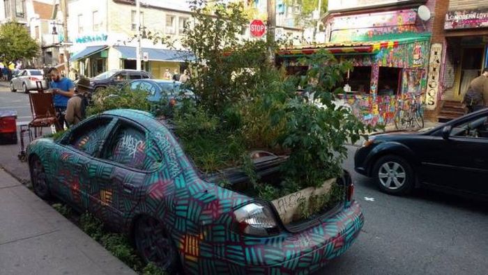Прикольные картинки