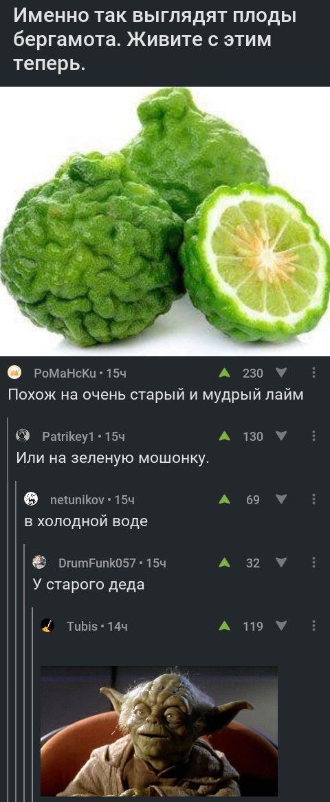 Отборная порция юмора из социальных сетей