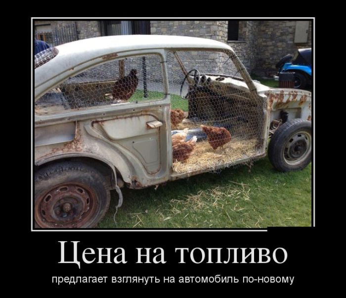 Демотиваторы