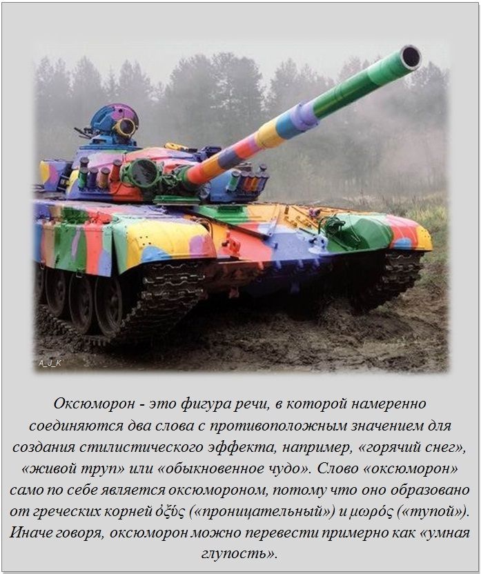 Интересные факты обо всём